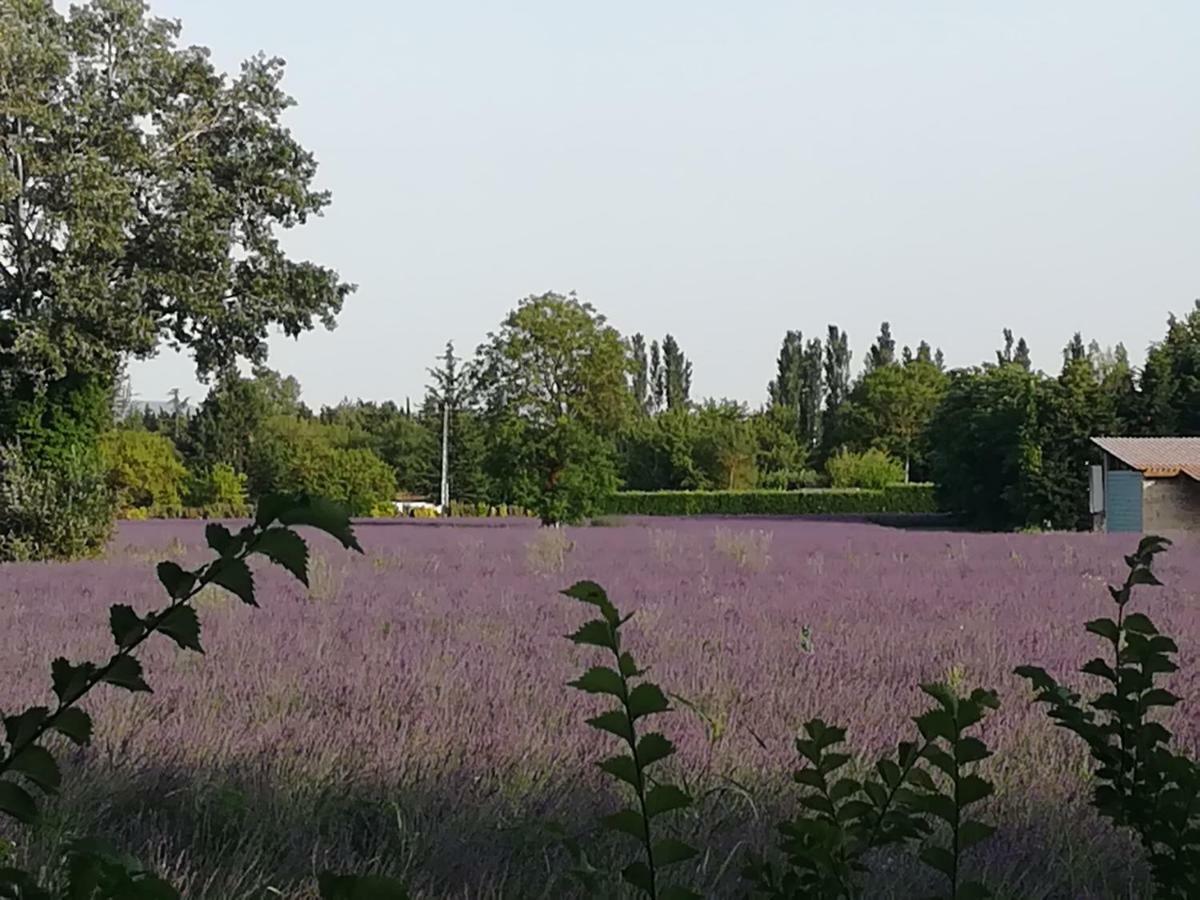 Au Pays Du Ventoux Bed & Breakfast Le Thor Exterior photo